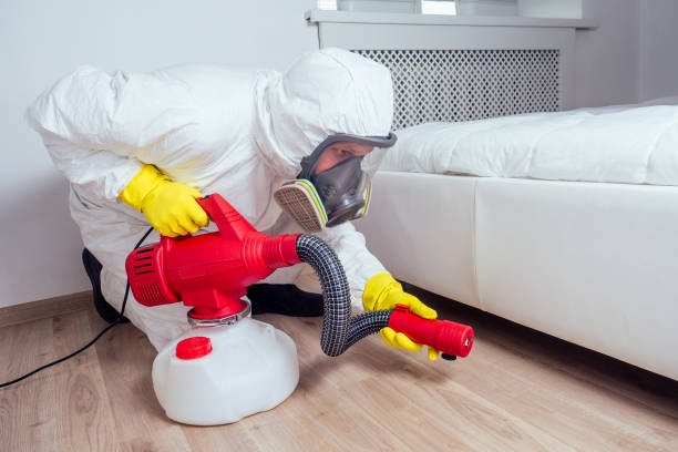 Flea Control Services in Fair Oaks, GA
