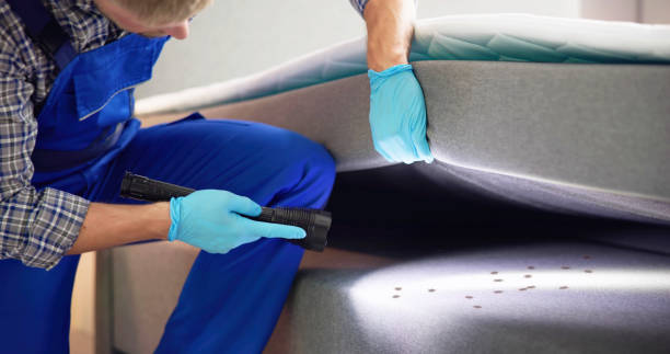Best Flea Control Services  in Fair Oaks, GA