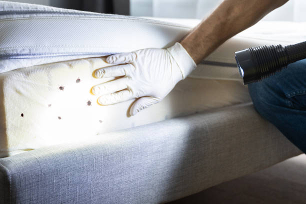 Best Rat Extermination Near Me  in Fair Oaks, GA